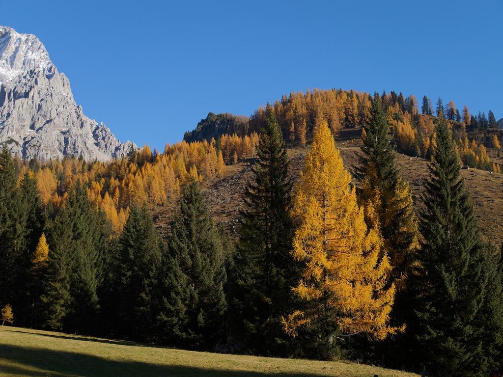 Hotel Am Sonnenhuegel Filzmoos Buitenkant foto